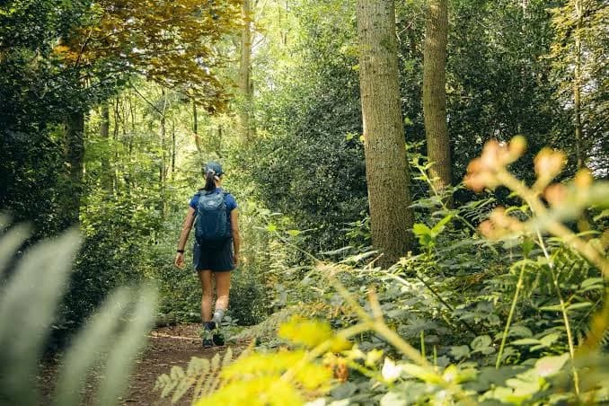Jeugdsectie · Antroposofische Vereniging